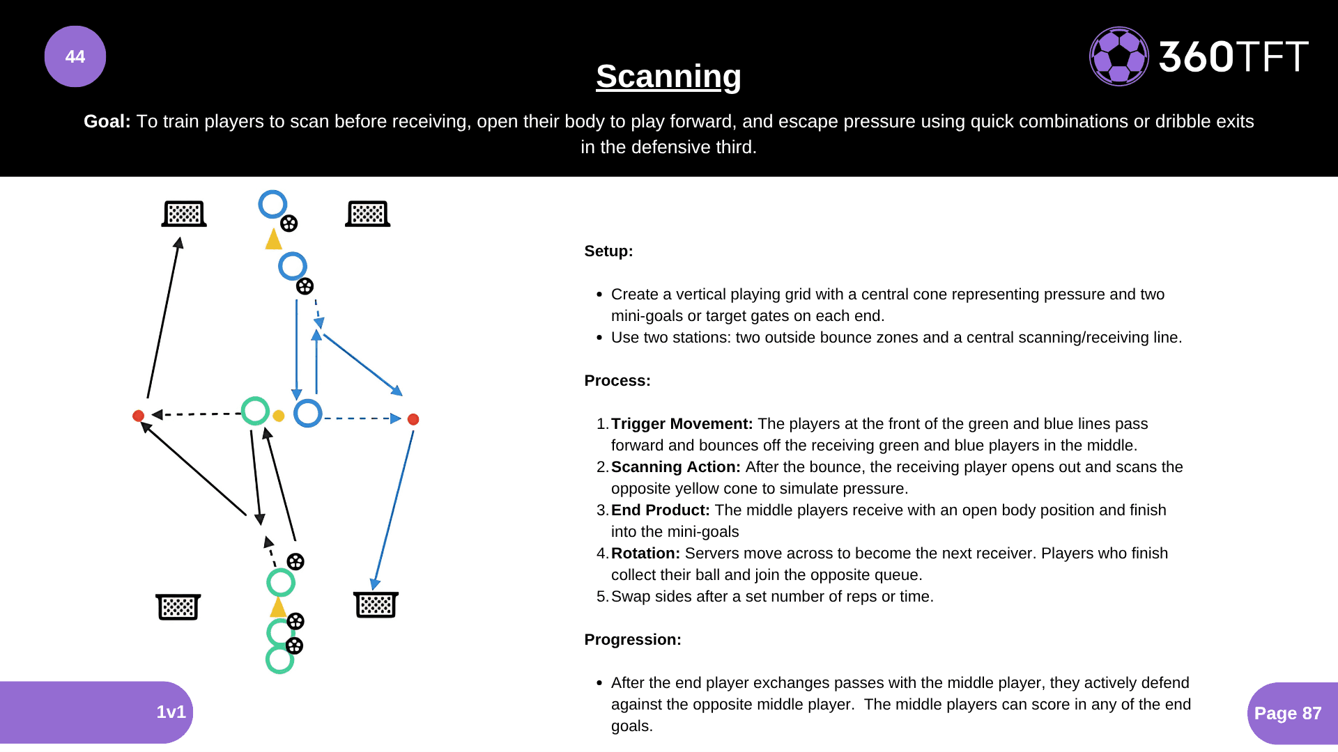Preview of Scanning